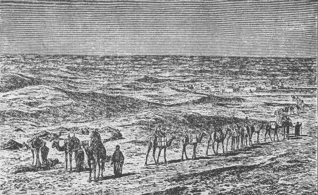 camel train